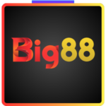BIG88