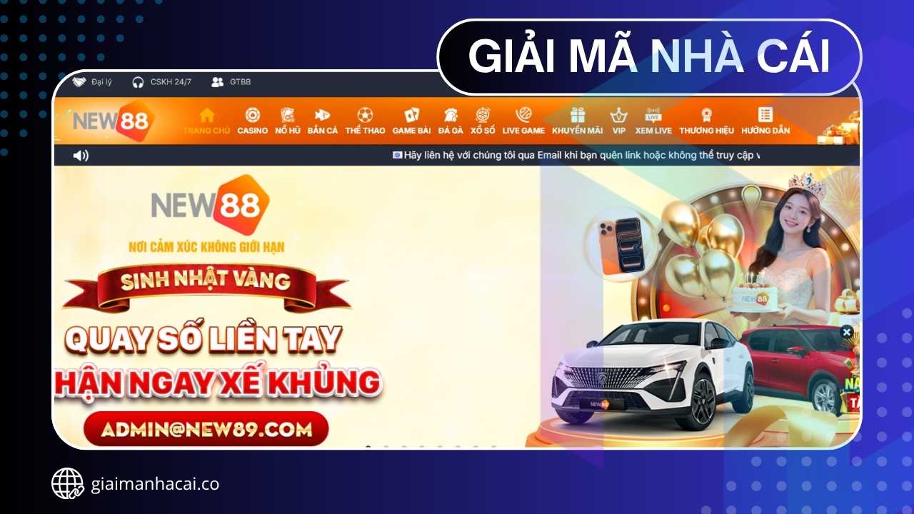 NEW88 - Nền Tảng Giải Trí Cược Chuẩn Quốc Tế Dẫn Đầu 2025