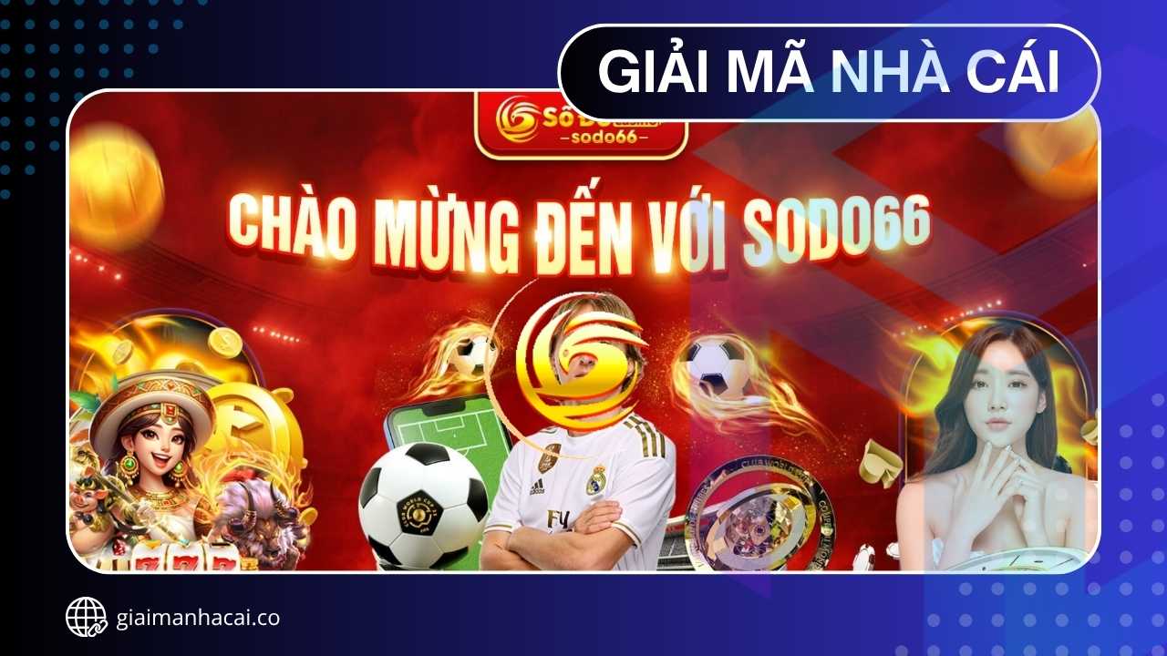 Giải Mã SODO66 - Vì Sao Ngày Càng Nhiều Người Chơi Chọn?