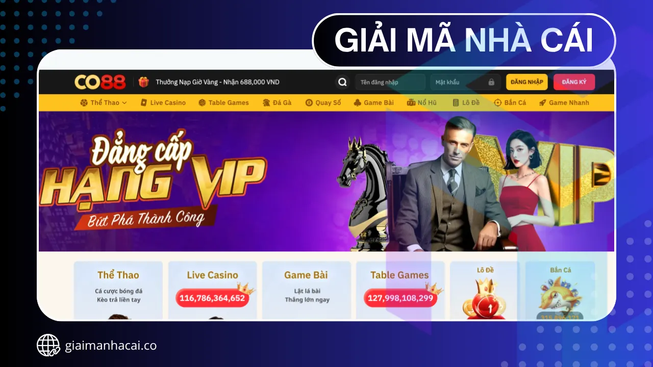 Co88 nhà cái mới nổi chiếm top BXH nhà cái uy tín 2025