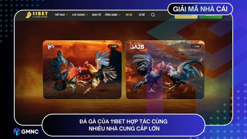 Đá gà của 11BET hợp tác cùng nhiều nhà cung cấp lớn