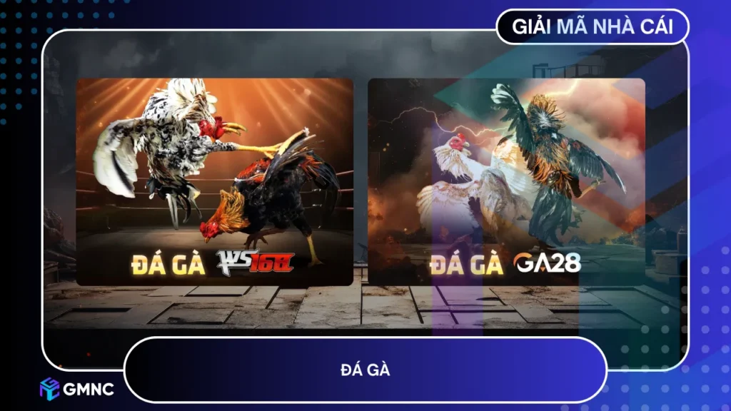 Trường gà quốc tế với hình ảnh sắc nét, lịch thi đấu rõ ràng và góc quay chi tiết từng pha ra đòn