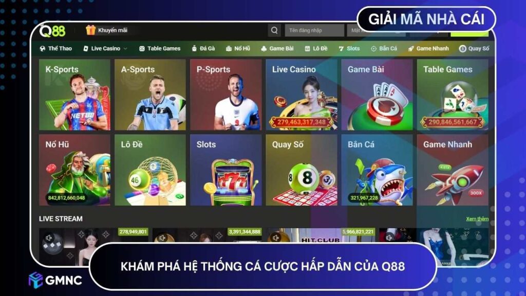 Khám phá hệ thống cá cược hấp dẫn của Q88