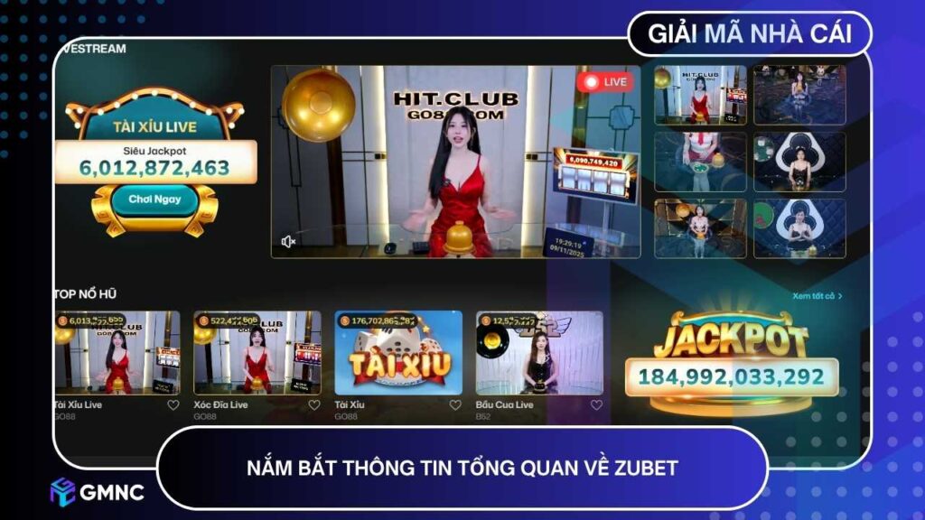 Nắm bắt một số thông tin tổng quan về Zubet