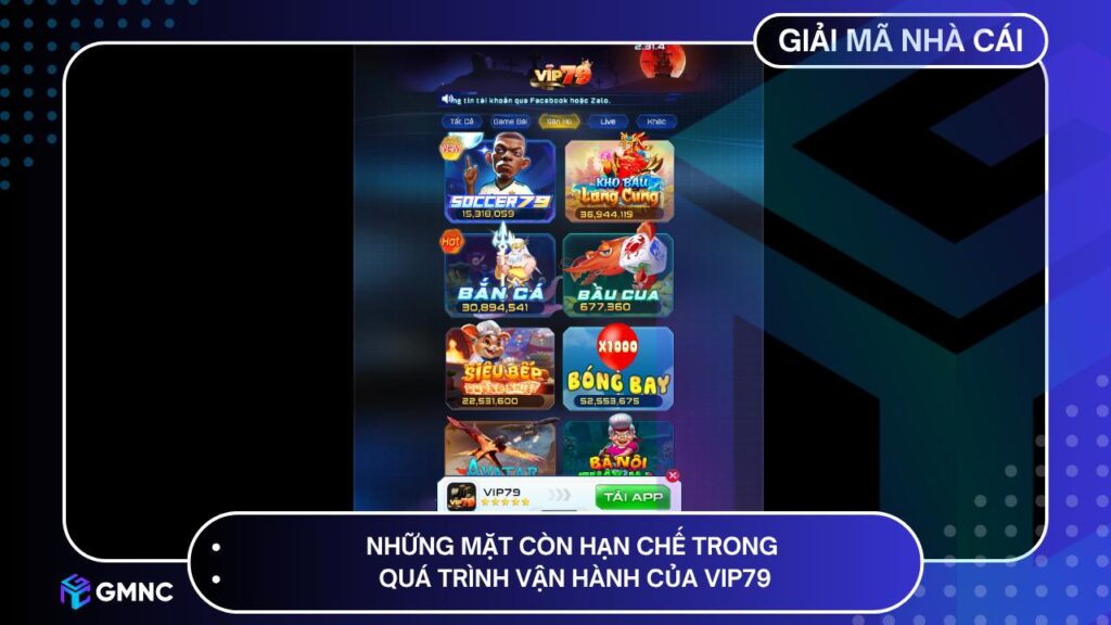 Những mặt còn hạn chế trong quá trình vận hành của VIP79