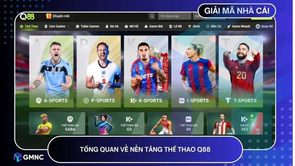 Tổng quan về nền tảng thể thao Q88